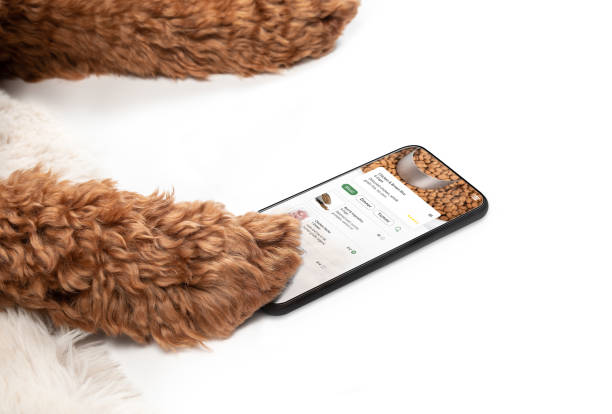 179 Pet Food Delivery Stock Photos, Pictures & Royalty-Free Images - iStock | Cat food 179 Pet Food Delivery Stock Photos, Pictures & Royalty-Free Images - iStock | Cat food