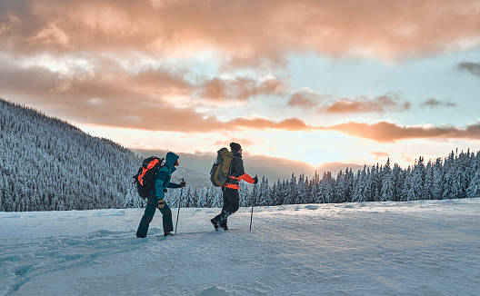 Two hikers dressed in warm winter sportswear with hiking backpacks walk with trekking poles in the snow-covered pine mountains in an incredible sunset, beautiful sky.