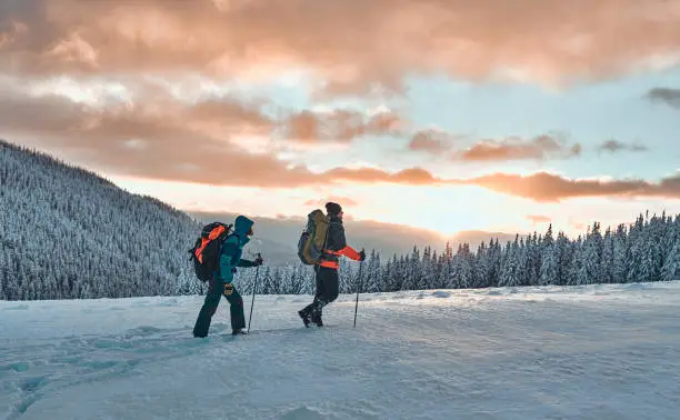 Photo of Two hikers dressed in warm winter sportswear with hiking backpacks walk with trekking poles in the snow-covered pine mountains in an incredible sunset, beautiful sky.