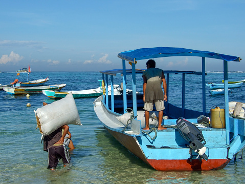 Horizontal photo of a Balinese man loading a heavy bag of prepared seaweed onto a colorful boat in the shallow water off the island of Nusa Lembongan, Bali.