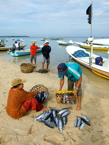Balinese fisherman display their catch on the sand, after a morning out fishing in the sea off the coast of the island of Nusa Lembongan, Bali