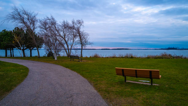 istock The curving footpath and an empty bench in the park with bare trees. Moody cloudscape at dusk. 1356425736