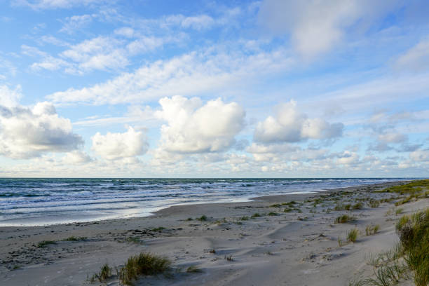 istock sandy baltic sea beach in cloudy weather 1356427837
