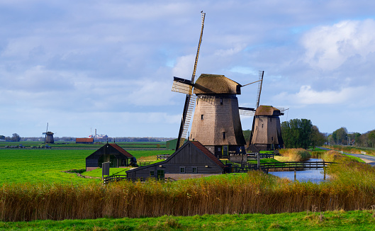 Dutch windmills along a canal with reed and a meadow alongside under a nicely clouded sky. The location is Schermerhorn, Netherlands.