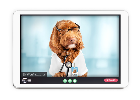 Tablet screen with digital health care consultation between patient and dr. woof, a Labradoodle dog and veterinarian on call. Isolated on white.