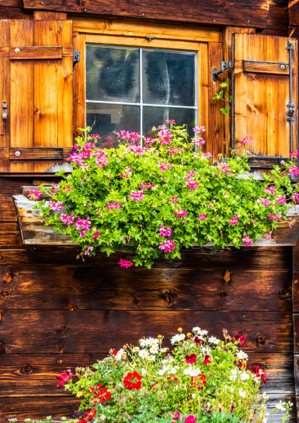 istock old wooden window at a facade 1356432697