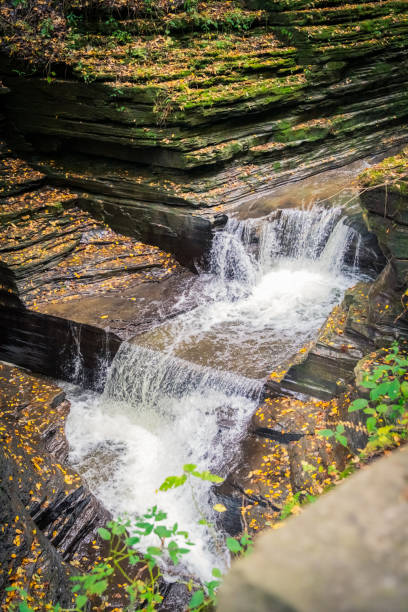 istock Beautiful Views in Watkins Glen State Park 1356432943