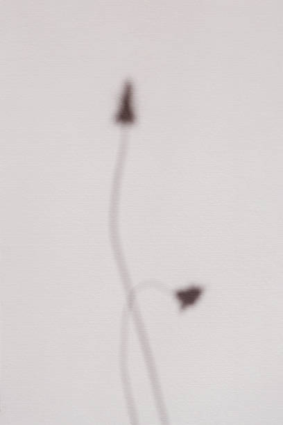 istock Minimal summer concept with plant stems with buds. Light and shadow on wall. Soft pastel backdrop 1356433332