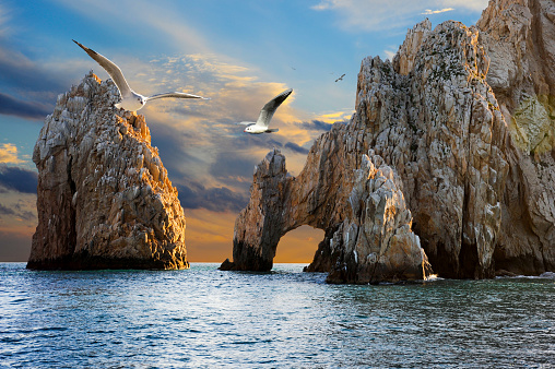 Seagulls flying over the distinctive arch of Cabo San Lucas, a rock formation at the southern tip of Cabo San Luca, on Mexico's Baja California Peninsula.