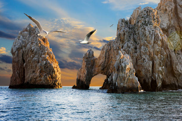 El Arco Arch of Cabo San Lucas at Sunset Seagulls flying over the distinctive arch of Cabo San Lucas, a rock formation at the southern tip of Cabo San Luca, on Mexico's Baja California Peninsula. baja california sur stock pictures, royalty-free photos & images