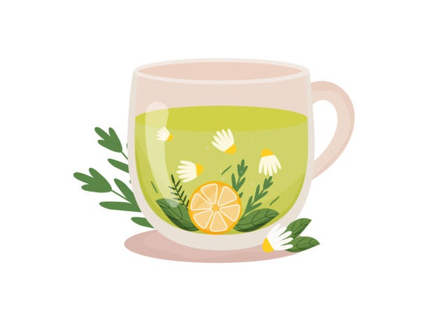 Cup of herbal tea. Hot drinks. Herbal tea. Cup of tea with camomile, mint, lemon slice in transparent cup with floral decoration. Hot drink. Health care. Homeopathic treatment. Vector illustration on white background. decaffeinated stock illustrations