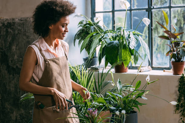 istock Smiling Female Florist Trimming Plant in her Workshop 1356437564