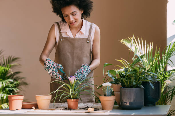 istock Smiling Female Florist Trimming Plant in her Workshop 1356437589