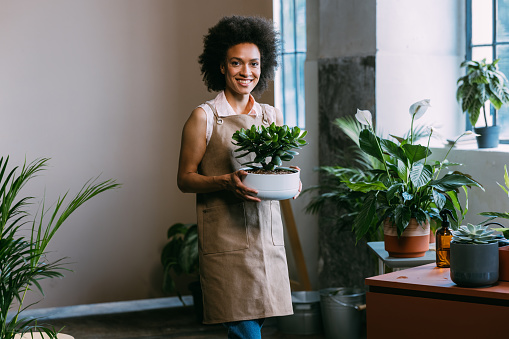 Beautiful  happy African American gardener holding plant in a flower pot in her flower shop and looking at camera.