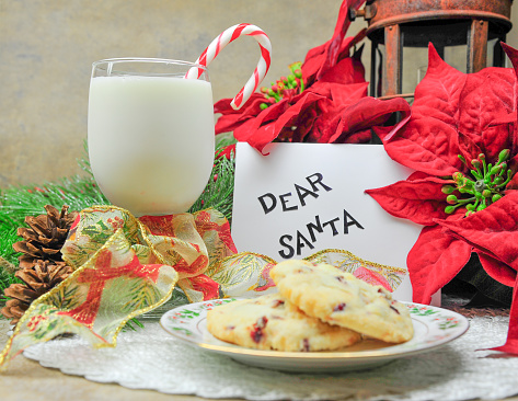 plate of cookies for Santa Claus with milk and candy cane Christmas card