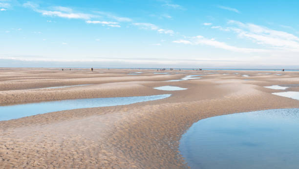 spiaggia della baia della somme : spiaggia hourdel - horizon observatory foto e immagini stock