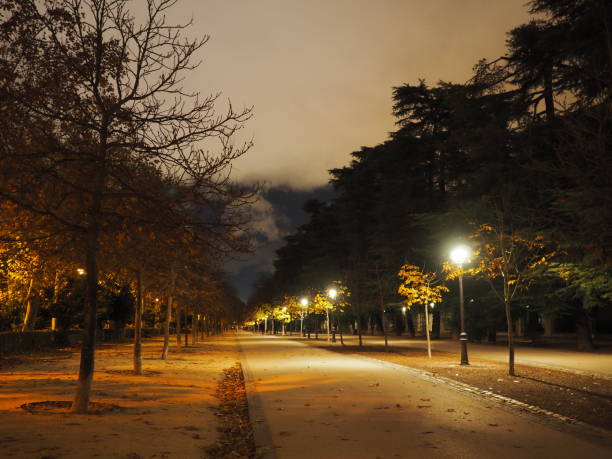 istock Retiro Park in Madrid . No fee entry 1356440217