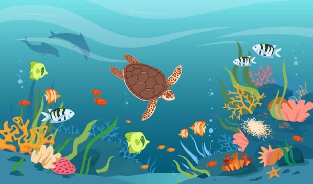 schildkröten in meer- oder ozeangewässern, tropische unterwassertiere, wassertiere und fische - korallenriff stock-grafiken, -clipart, -cartoons und -symbole