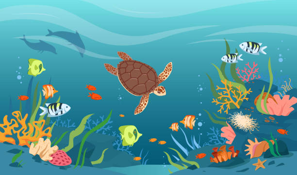 ilustraciones, imágenes clip art, dibujos animados e iconos de stock de tortuga en aguas marinas u oceánicas, vida silvestre tropical submarina, animales acuáticos y peces - inferior view illustrations