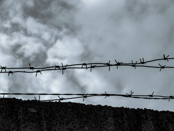 alambre de púas sobre una cerca de concreto, primer plano, territorio cerrado, instalación militar - barbed wire fotografías e imágenes de stock