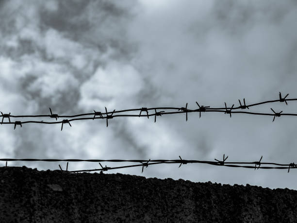 filo spinato su una recinzione di cemento, primo piano, territorio chiuso, struttura militare - barbed wire foto e immagini stock