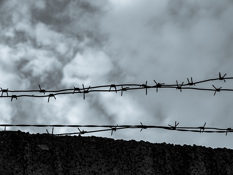 Barbed Wire Fence. Prison or border fence with razor wire against dark sky. Security concept