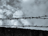 Barbed wire over a concrete fence, close-up, closed territory, military facility