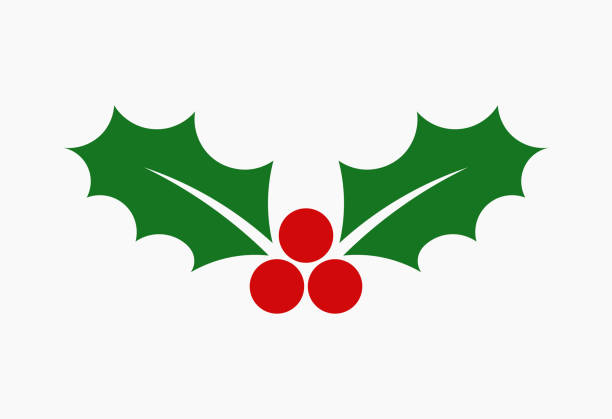 рождественский падуб из ягод оставляет плоскую икону. - holly stock illustrations