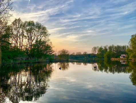 A view of a vast yet shallow lake covered from all sides with reeds, grass, herbs, and other flora spotted on a cloudy yet warm summer day on a Polish countryside during a hike