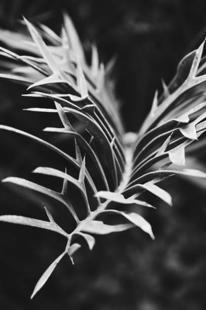 istock details of life 1356450847
