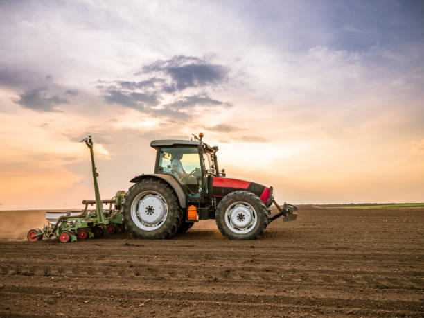 istock Tractor drilling seeding crops at farm field. Agricultural activity. 1356457924