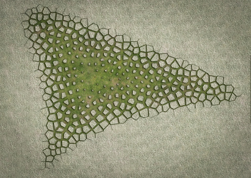 Diagrama de arquitectura imagen digital dibujo experimental de formas, formas, volúmenes y geometrías 3D orgánicas, paramétricas y curvas. Un suelo de hormigón voronoi que poco a poco se transforma en hierba. photo