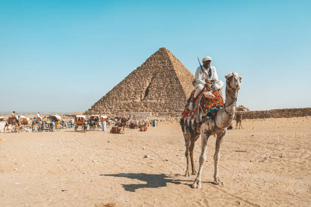 les méchants bédouins et de nombreux chameaux reposent sur le sable dans le désert d’afrique sur fond de grande pyramide. chameaux pour les touristes à cheval. - africa archaeology architecture bedouin photos et images de collection