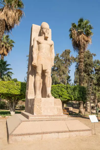 Statue of Pharaoh Ramses II in Memphis, Egypt. The monument of the ancient Egyptian pharaoh in outdoor against the background of green palm trees in the park.