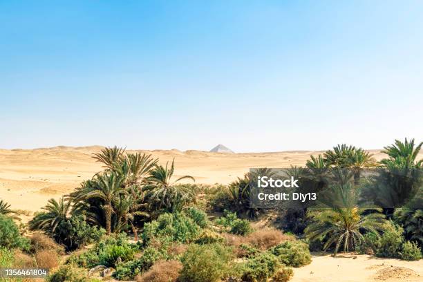 Date Palm Trees And The Sand Dunes Background The Pyramid Of Snefru In The Dahshur Valley Near From Giza And Cairo Egypt Stock Photo - Download Image Now