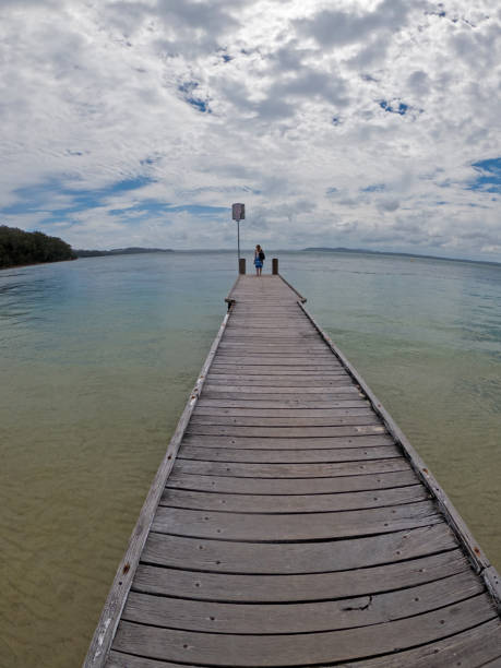 istock Little Beach Jetty, Port Stephens 1356463849