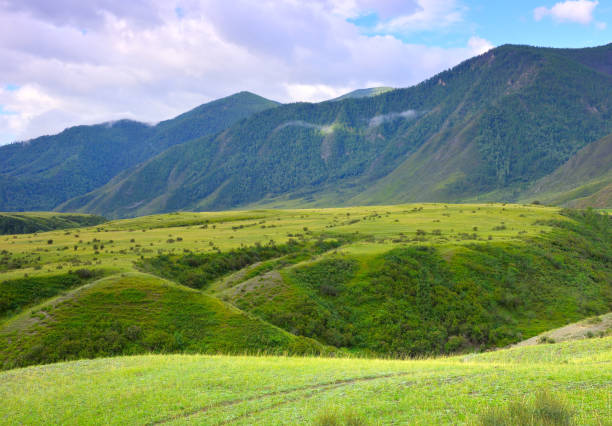 istock A green valley in the Altai Mountains 1356473836