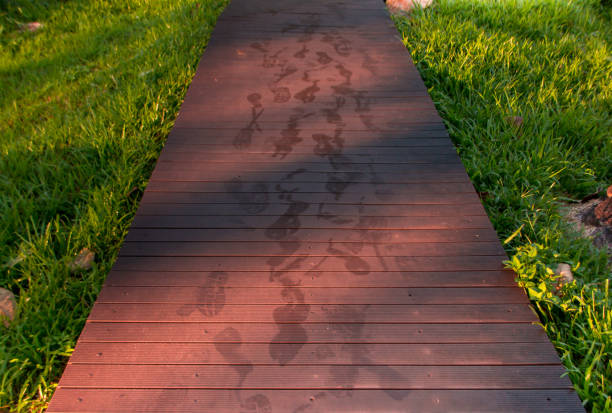 istock Pathway in national park, pathway on green grass background, wake on the path way 1356474942