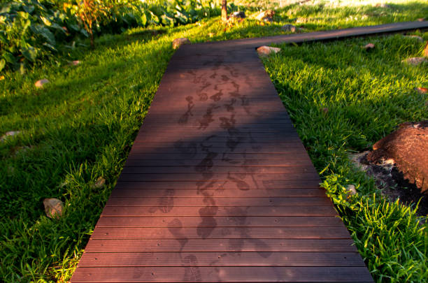Pathway in the park,wake foots on the pathway.