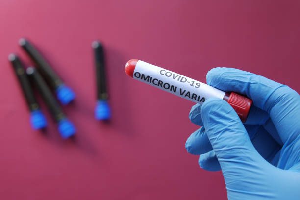 hand hold omicron variant corona virus blood test tube close up of corona virus blood test tube on table . splash crown stock pictures, royalty-free photos & images