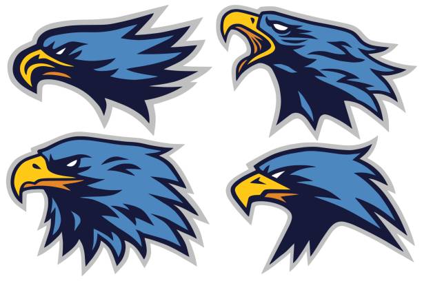 set von eagle sports logo maskottchen vector design collection - habichtartige stock-grafiken, -clipart, -cartoons und -symbole