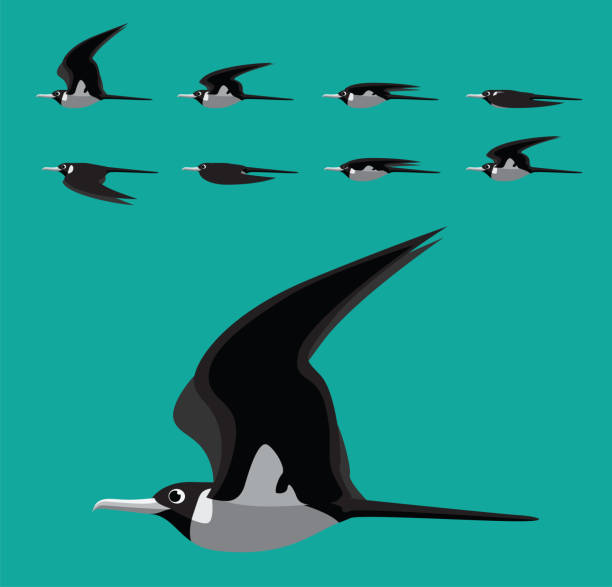 200 Cartoon Of The Bird Flying Away Illustrations & Clip Art - iStock