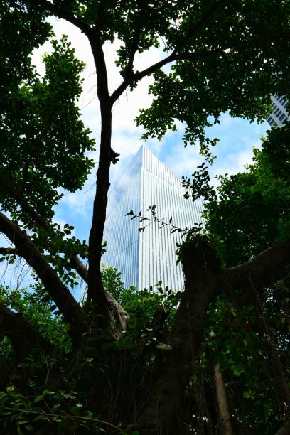 istock a view of modern building from woods 1356482287