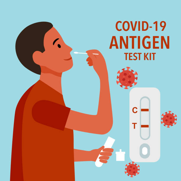 mann verwendet covid-19-antigen-schnelltest-kit zur überprüfung der coronavirus-konzeptvektorillustration. - corona test stock-grafiken, -clipart, -cartoons und -symbole