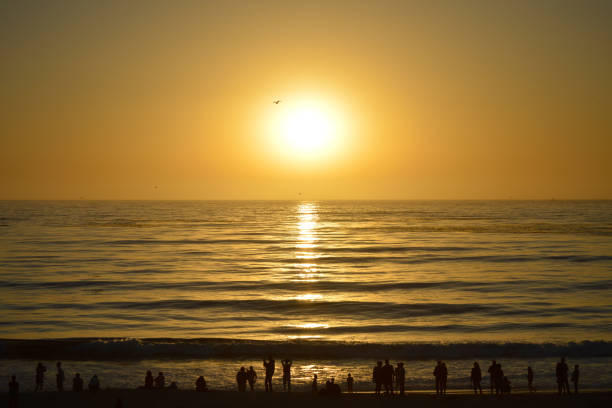 istock Silhouettes of Beachgoers Watching Sunset 1356483319