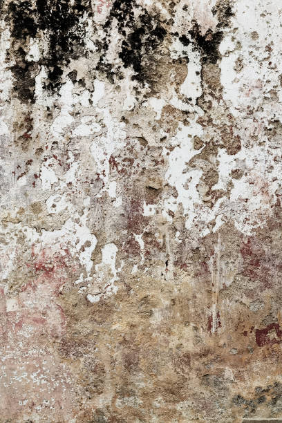 istock close up of concrete cement textured wall 1356488389