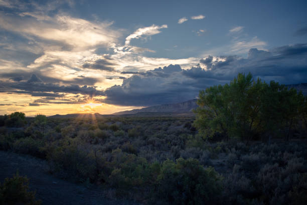 istock The beautiful view cloudy sky, bright green tree on a landscape background in somewhere Colorado 1356499323