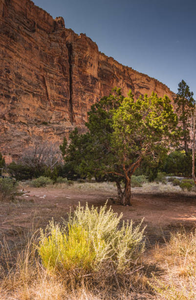 istock Landscape photo on a stone wall background 1356499443