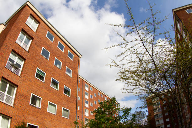 istock Frederiksberg Allee in Denmark 1356501350