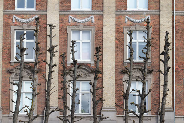 Frederiksberg Allee in Denmark in spring 2012.